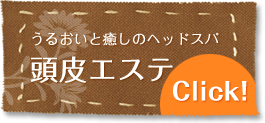 うるおいと癒しのヘッドスパ 頭皮エステ